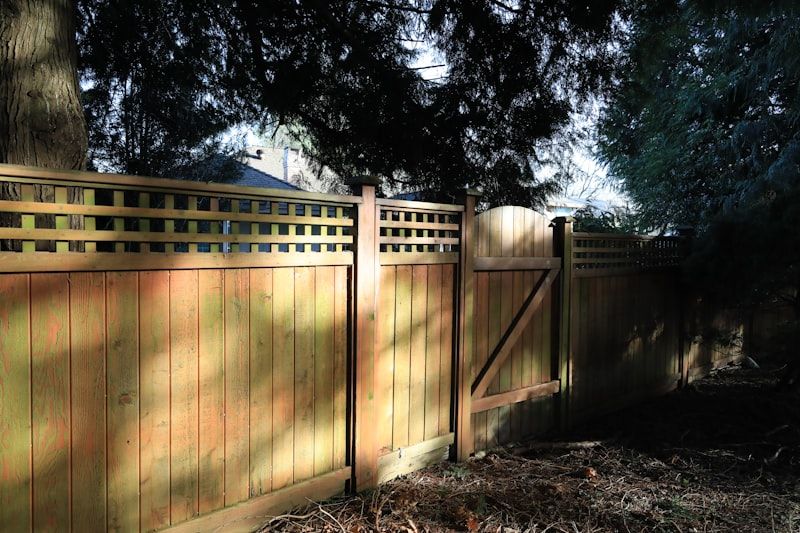 Cedar fence staining and restoration services in Toronto, Vaughan, Markham and GTA